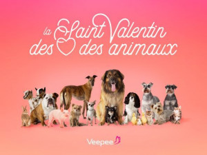 Courants d'Air, LE 14 FEVRIER ON VA SUR VEEPEE POUR L'AMOUR DES ANIMAUX !