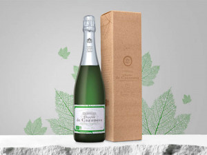 Courants d'Air, LA NOUVELLE CUVEE BIO DE CHARLES CAZANOVE SUBLIME LE PINOT MEUNIER 