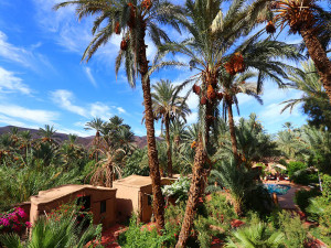Courants d'Air, L'HÔTEL BAB EL OUED, UN JARDIN D'ÉDEN EN HARMONIE AVEC SON ENVIRONNEMENT