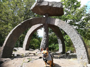 Courants d'Air, LES COMBRAILLES, DESTINATION « DOG-FRIENDLY » POUR DES VACANCES AU POIL 