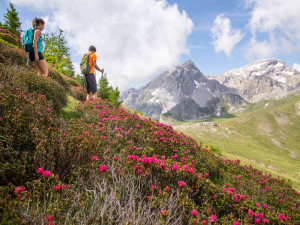 Courants d'Air, CET ETE, RESSOURCEZ-VOUS AU GRAND AIR DE LA MONTAGNE ET DEVENEZ #SIMPLEMENTNATURE ! 