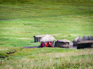 Courants d'Air, VOYAGE AU CŒUR DU NGORONGORO EN TANZANIE