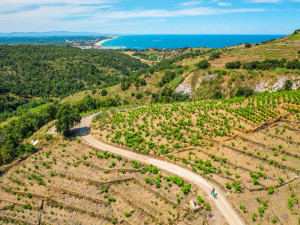 Courants d'Air, ARGELES-SUR-MER : UNE RENTREE SPORTIVE !