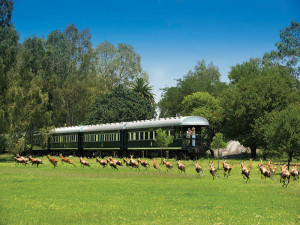 Courants d'Air, LES PLUS BEAUX TRAINS DU MONDE