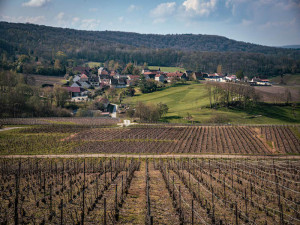 Courants d'Air, LES CHAMPAGNES DE VIGNERON DE LA MAISON TRIBAUT-SCHLOESSER