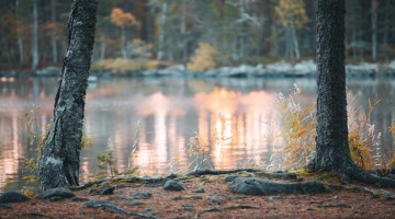 LA REGION DE JYVASKYLA EN FINLANDE N'A PAS QU'UN SEUL PARC NATIONAL, MAIS QUATRE !