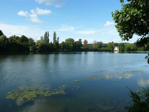 Courants d'Air, TERRES DE SEINE, TERRES DE NATURE