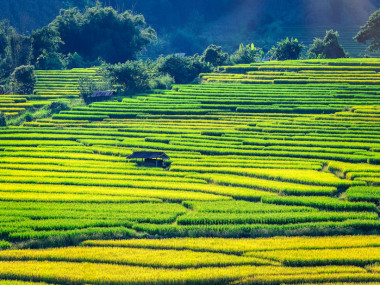 Courants d'Air, LA THAILANDE, UN PAYS TENDANCE ET ACCUEILLANT 