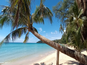 Courants d'Air, L'ILE DE KOH KOOD EN THAILANDE : SABLE BLANC, EAUX CRISTALLINES ET COCOTIERS.
