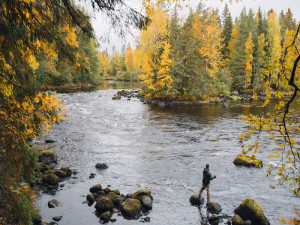 Courants d'Air, LA RÉGION DE JYVASKYLA EN FINLANDE EST LE RÊVE DE TOUT PÊCHEUR