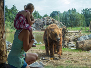 Courants d'Air, DES NUITS SAUVAGES AU PARC ANIMALIER DE SAINTE-CROIX