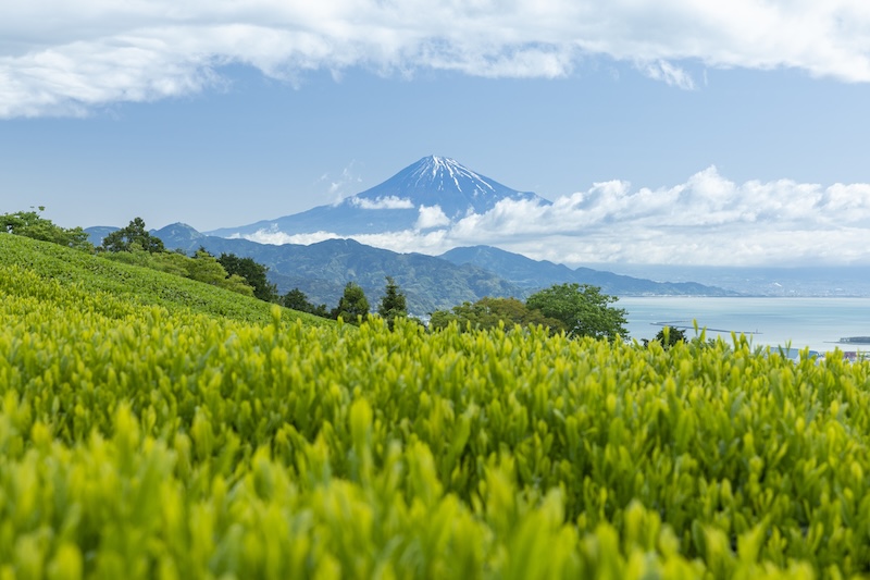 SURUGA, UNE AUTRE FACETTE DU JAPON LOIN DES FOULES