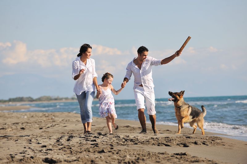 PARTEZ EN VACANCES AVEC OU SANS VOTRE ANIMAL ?