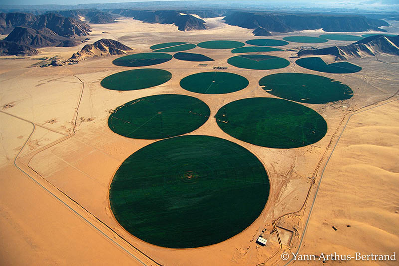 YANN ARTHUS-BERTRAND « LE VOYAGE EST AU BOUT DE LA RUE »