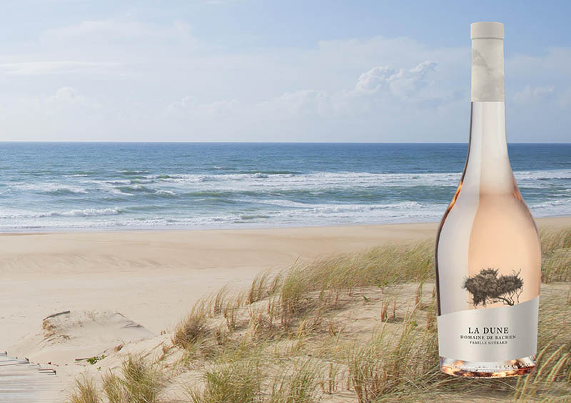 LA DUNE, PREMIER ROSE PREMIUM DE LA FACADE ATLANTIQUE