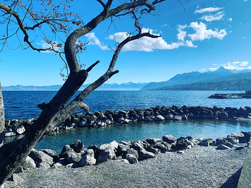 LES RIVES DU LEMAN, LE LIEU PAISIBLE POUR PRENDRE LE TEMPS DE S’INSPIRER