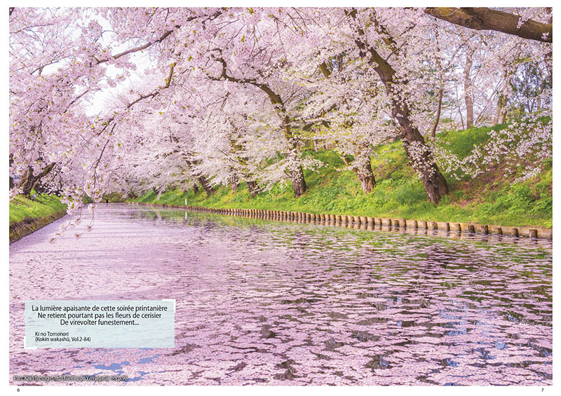 1 000 PAYSAGES  A COUPER LE SOUFFLE POUR DECOUVRIR L'INCROYABLE BEAUTE DU JAPON ! 