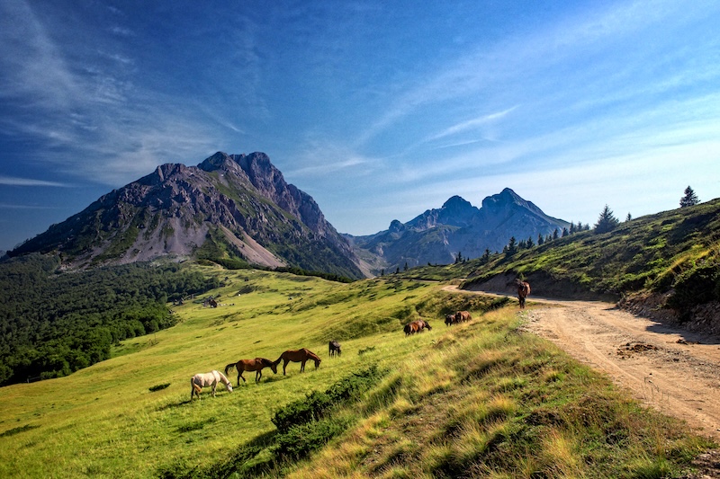 Courants d'Air, MONTÉNÉGRO, ENTRE AUTHENTICITÉ MÉDITERRANÉENNE ET DURABILITÉ