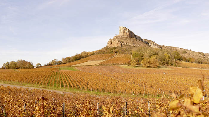 SAVOUREZ L'AUTOMNE EN BOURGOGNE DU SUD