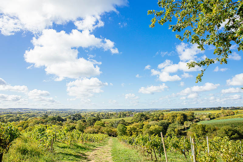 ANGERS, UNE PARENTHÈSE ENTRE VILLE ET NATURE