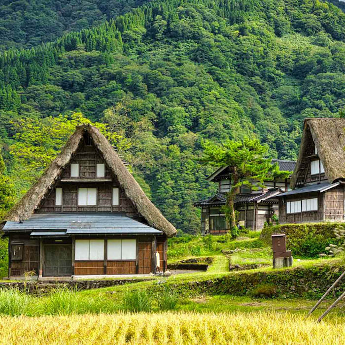 AU JAPON, ON MISE SUR LE VOYAGE DURABLE