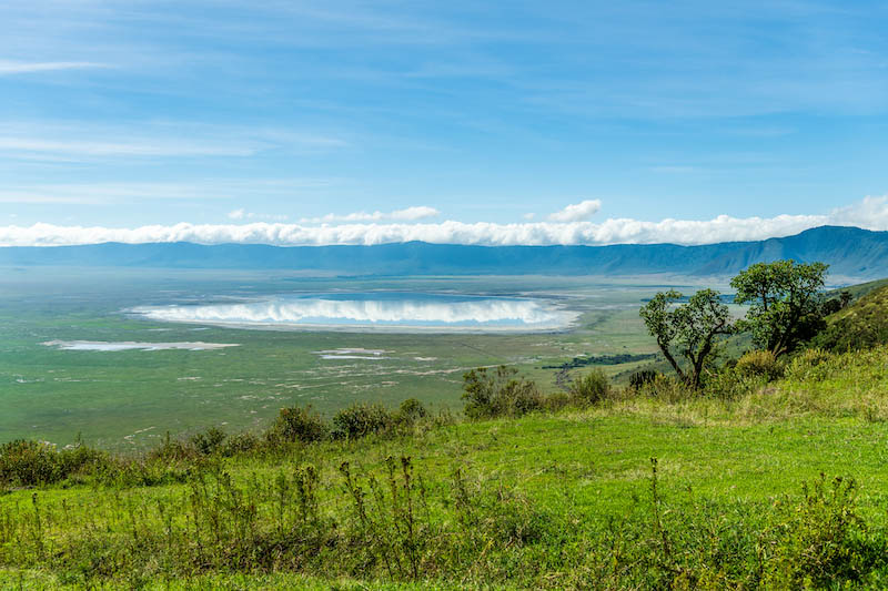 VOYAGE AU CŒUR DU NGORONGORO EN TANZANIE