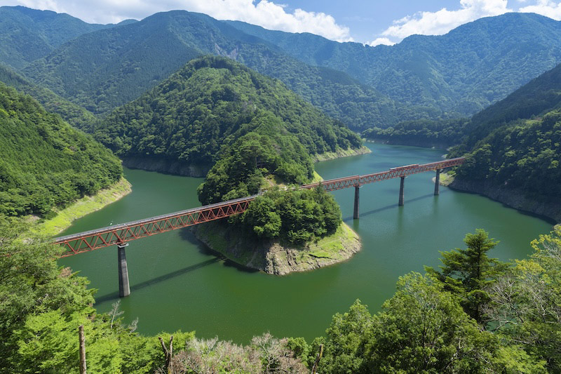 SURUGA, BERCEAU DU THÉ AU JAPON