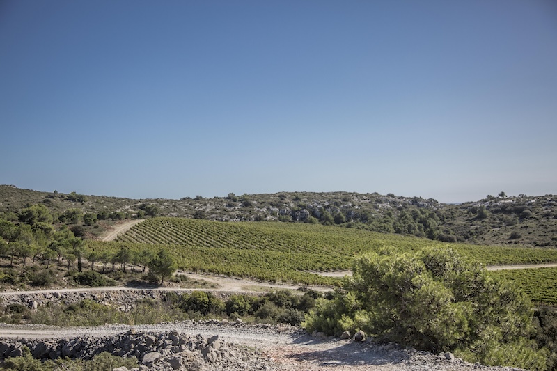 Courants d'Air, CH&Acirc;TEAU L'HOSPITALET WINE RESORT, BEACH & SPA, UNE M&Eacute;LODIE DU BONHEUR