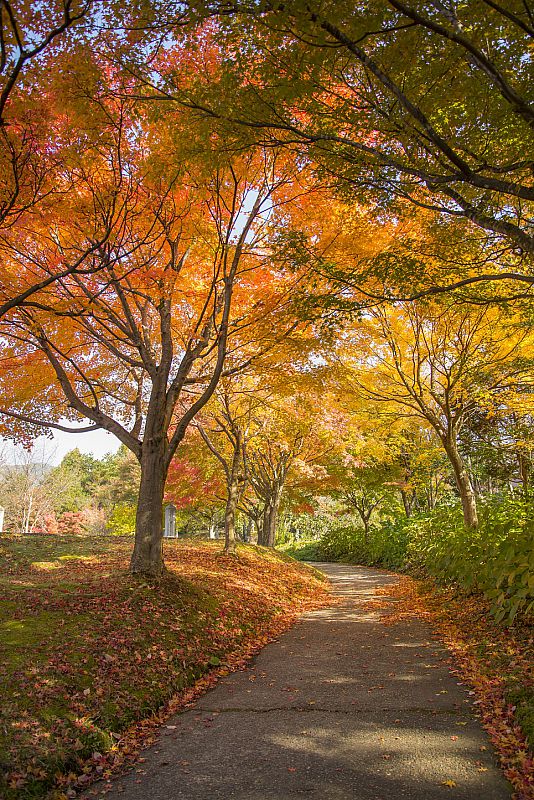 L'AUTOMNE AU JAPON, UNE ATMOSPHERE D'UNE RARE BEAUTE