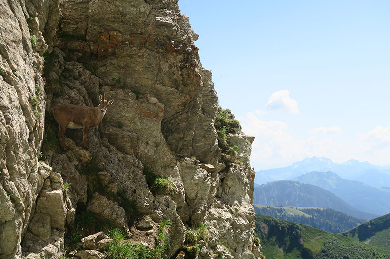 RANDONNER AU PAYS D'ÉVIAN-VALLÉE D'ABONDANCE