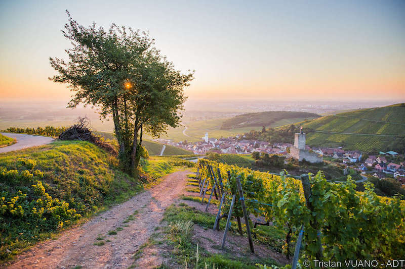 L'ALSACE, TERRE DE CHÂTEAUX FORTS 