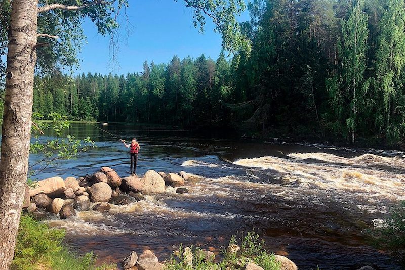 LA RÉGION DE JYVASKYLA EN FINLANDE EST LE RÊVE DE TOUT PÊCHEUR