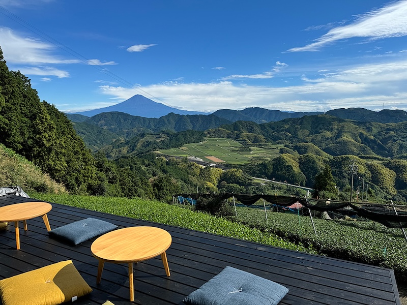 SURUGA AU PRINTEMPS ENTRE TH&Eacute; VERT ET CERISIERS EN FLEURS
