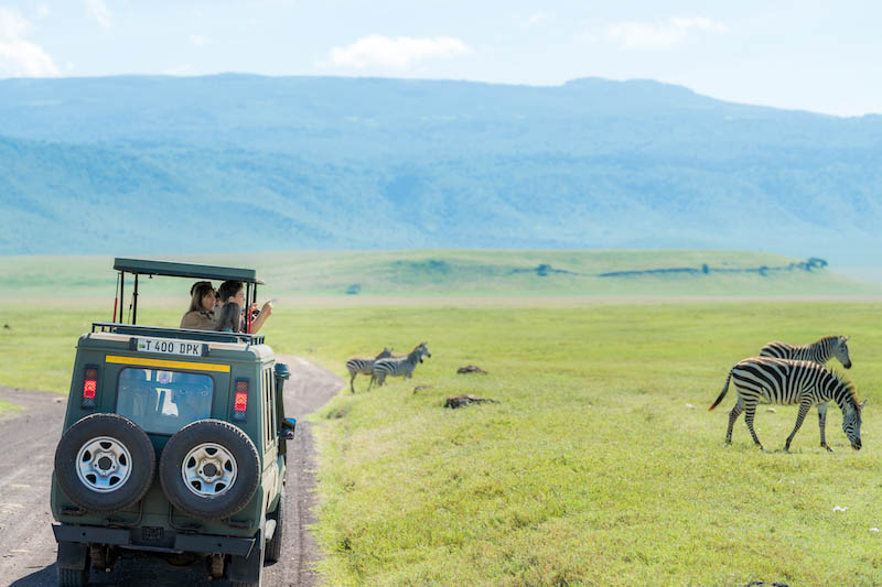 VOYAGE AU CŒUR DU NGORONGORO EN TANZANIE