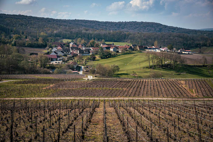 LES CHAMPAGNES DE VIGNERON DE LA MAISON TRIBAUT-SCHLOESSER