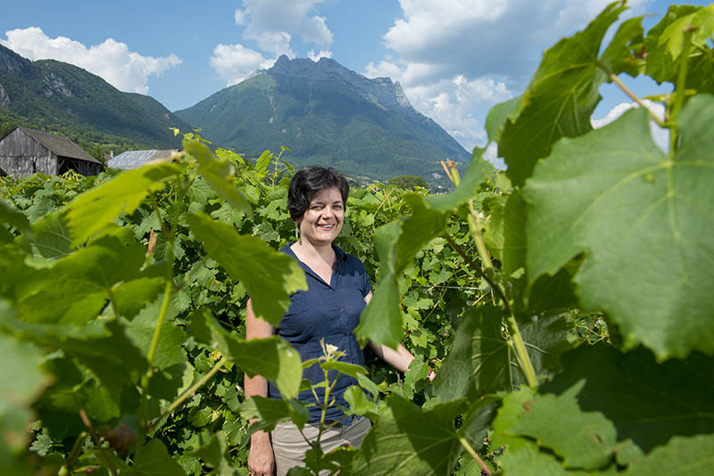 LA ROUTE DES VIGNOBLES ALPINS EN SAVOIE MONT BLANC