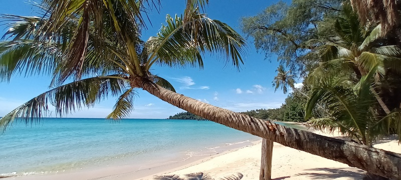 L'ILE DE KOH KOOD EN THAILANDE : SABLE BLANC, EAUX CRISTALLINES ET COCOTIERS.