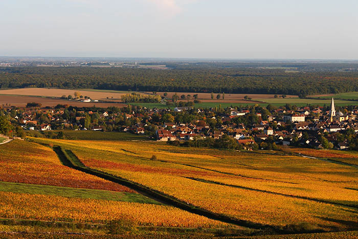 SAVOUREZ L'AUTOMNE EN BOURGOGNE DU SUD