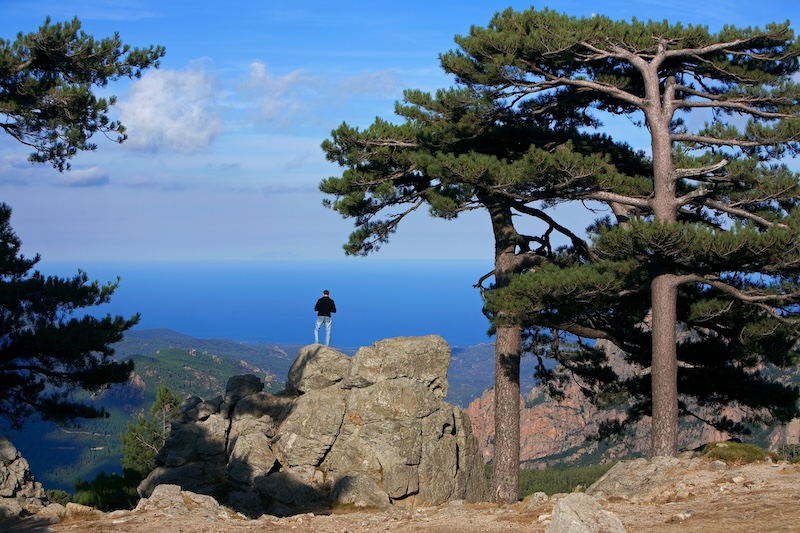 LE MOUFLON D'OR, UNE AUTRE ID&Eacute;E DU LUXE EN CORSE