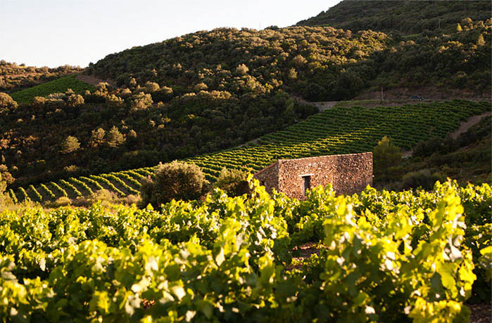 FRAIS ET GOURMAND, CLAIREMENT ROSE, C’EST LE NOUVEAU ROSE DE LA MARQUE ROCHE MAZET