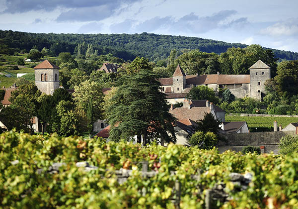 GEVREY-CHAMBERTIN, OUVERTURE DE LA HALLE CHAMBERTIN