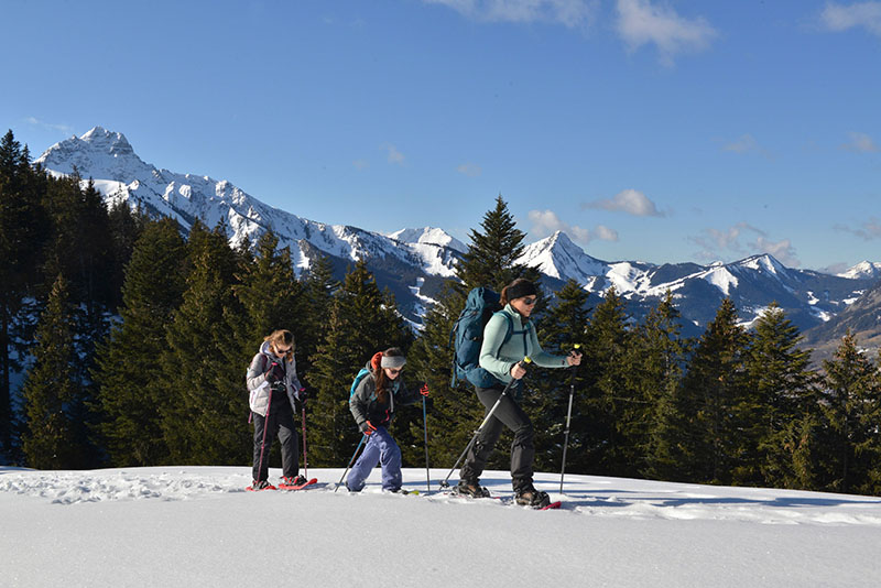 AU CŒUR DE LA VALLÉE D'ABONDANCE