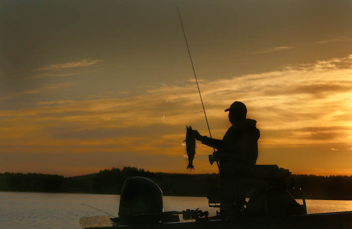 FINLANDE, SAVEURS DU PAYS DES LACS ET DES FORETS