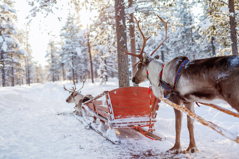 PARTEZ EN LAPONIE FINLANDAISE CET HIVER