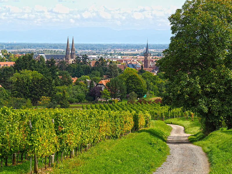 PARTAGEONS NOS COUPS DE COEUR A OBERNAI EN ALSACE 