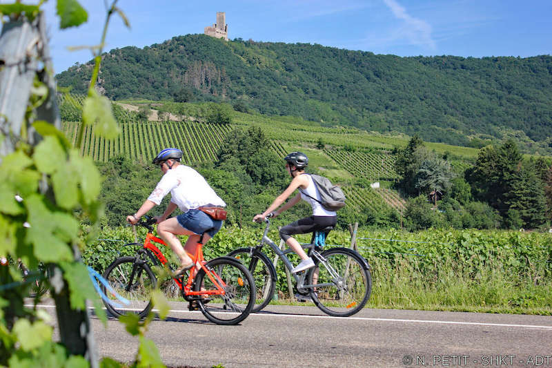 L'ALSACE, TERRE DE CHÂTEAUX FORTS 