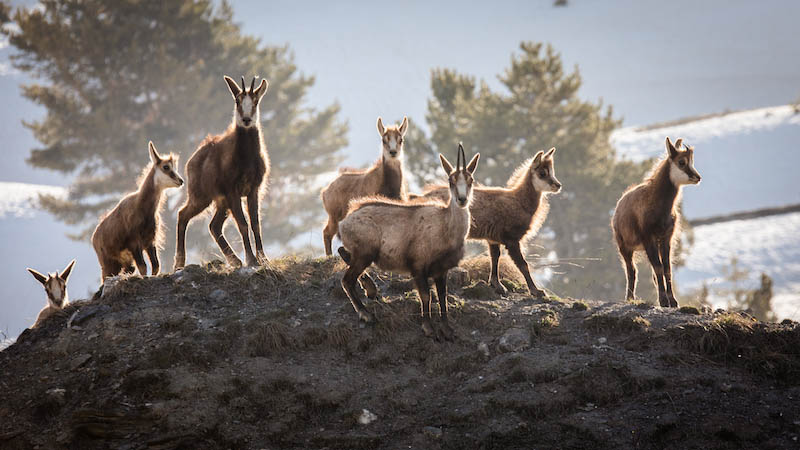 CET ETE, RESSOURCEZ-VOUS AU GRAND AIR DE LA MONTAGNE ET DEVENEZ #SIMPLEMENTNATURE ! 