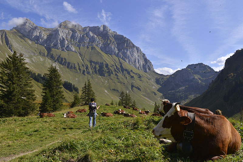 LA VALLÉE D'ABONDANCE, LA CULTURE DU GOÛT