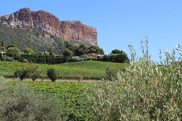 Y’A PAS QUE LE SKI, Y'A CASSIS AUSSI !