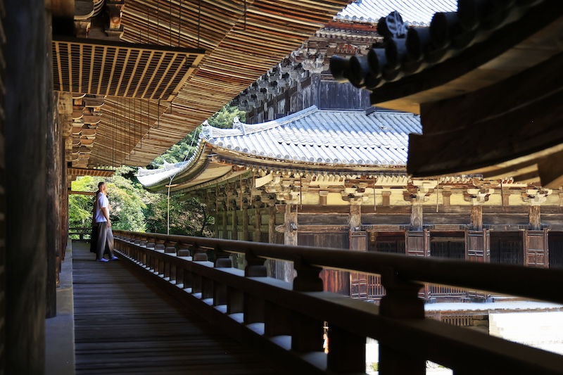 Courants d'Air, JAPON&nbsp;: HIMEJI, UNE FABULEUSE ESCAPADE